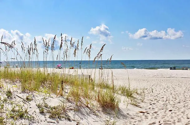 Ocean Reef 304 By Youngs Suncoast Apartment *
