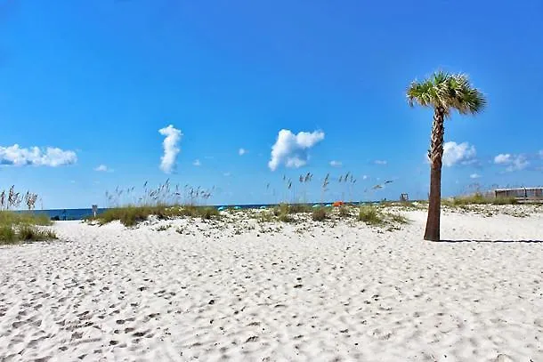 Ocean Reef 304 By Youngs Suncoast